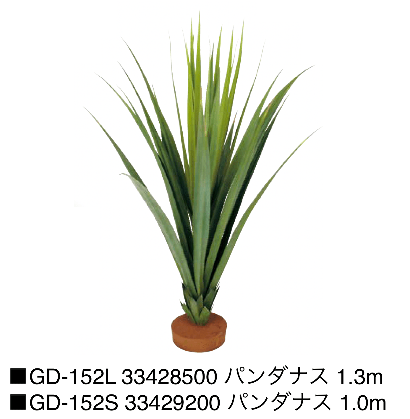 タカショーの「観葉植物【2025年版】」のサブ画像13