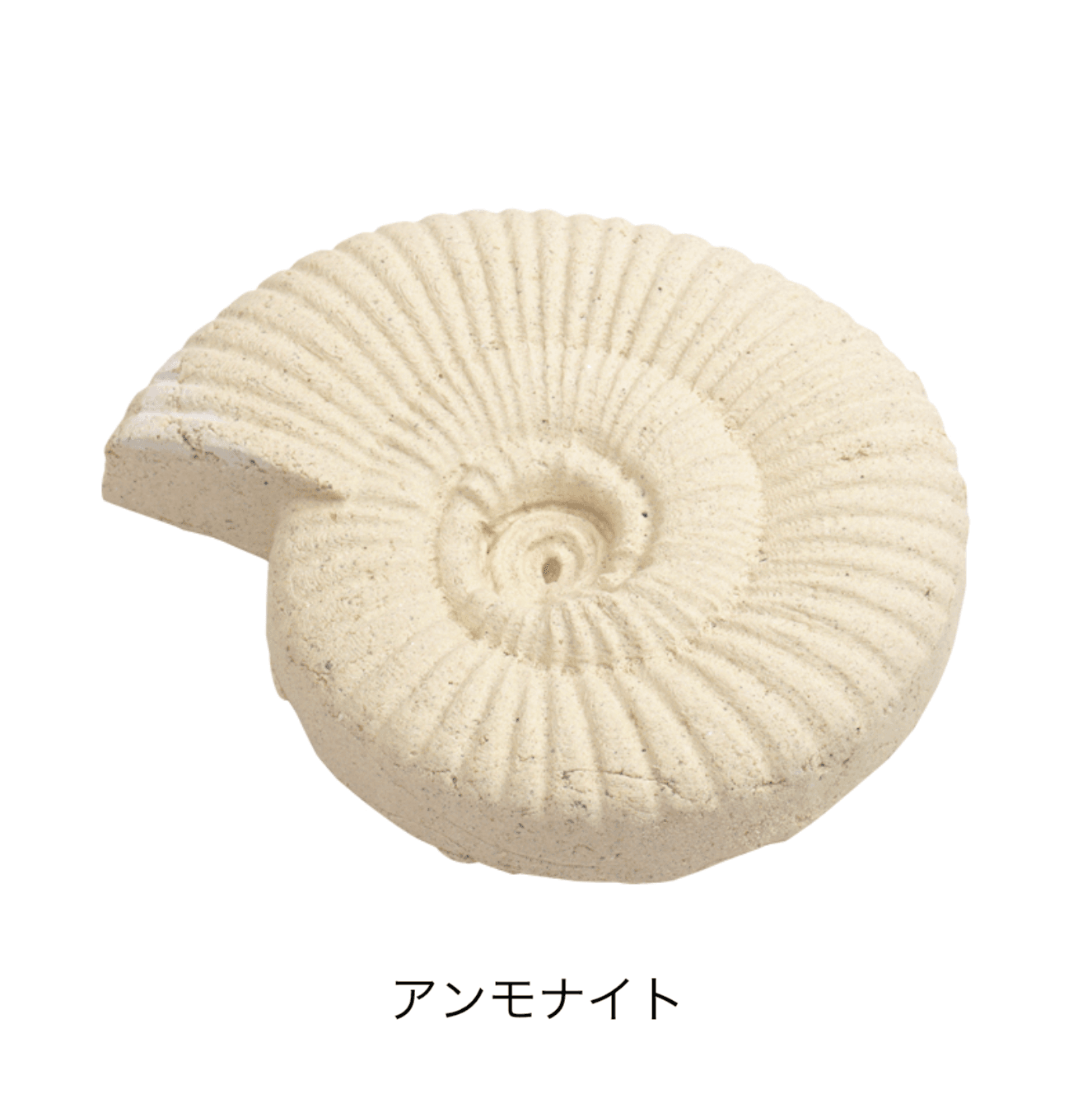 オンリーワンクラブの「アンティークブリックス マリンライフ【2024年版】」のサブ画像5