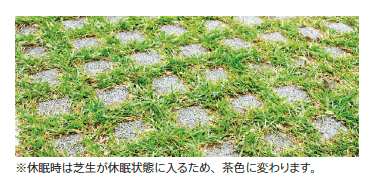 太陽エコブロックスの「芝⽣(緑化舗装⽤)【東日本】【2023年版】」