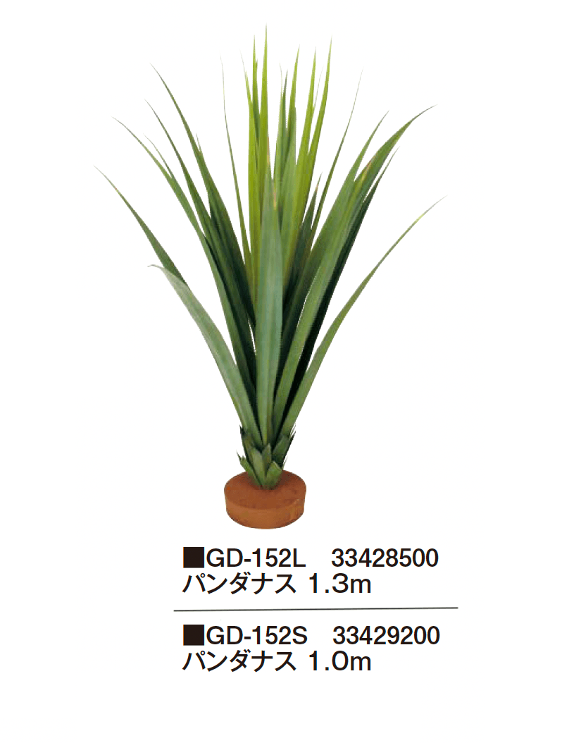 タカショーの「観葉植物【2024年版】」のサブ画像13