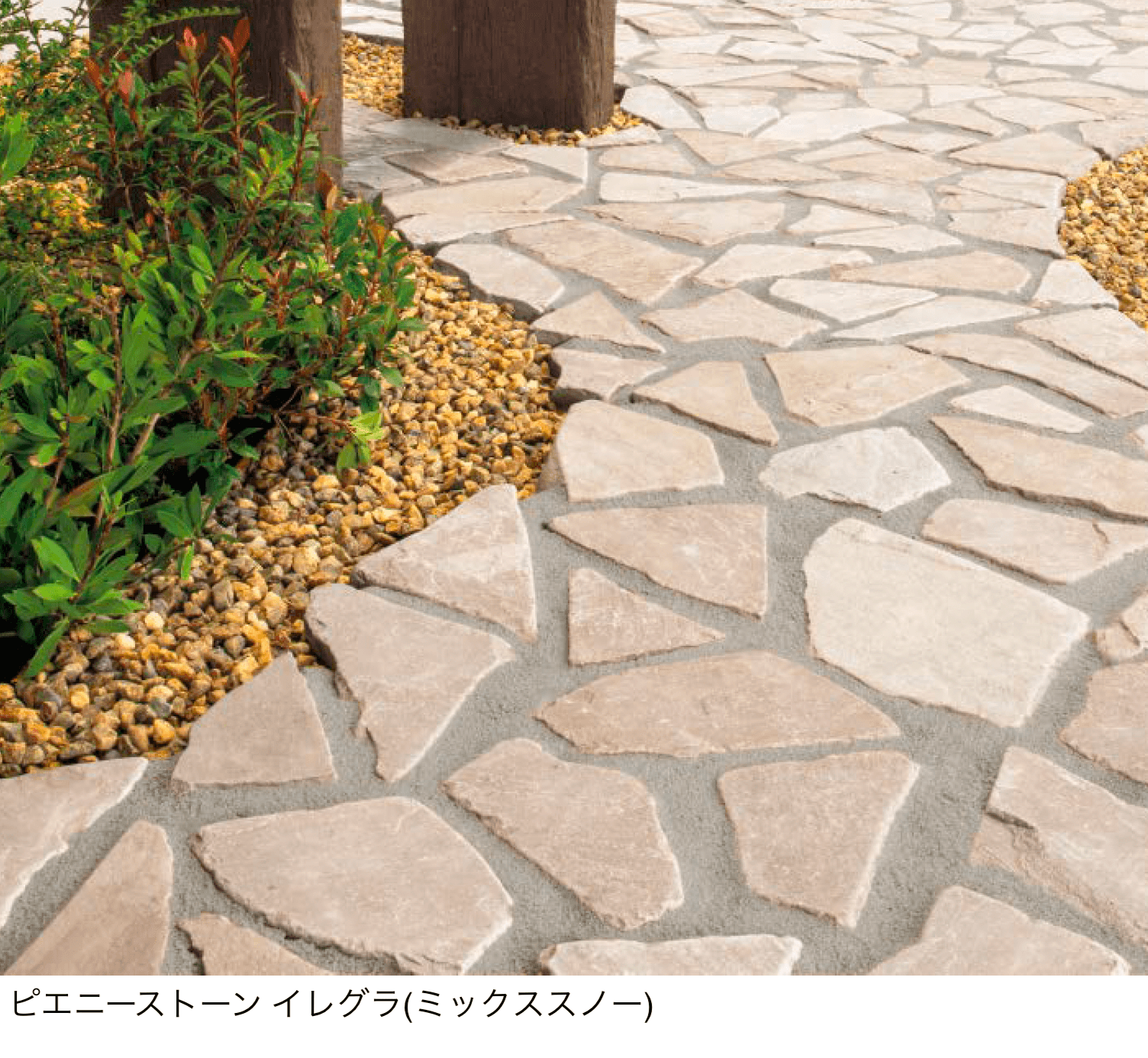 東洋工業の「ピエニーストーン イレグラ」のサブ画像3