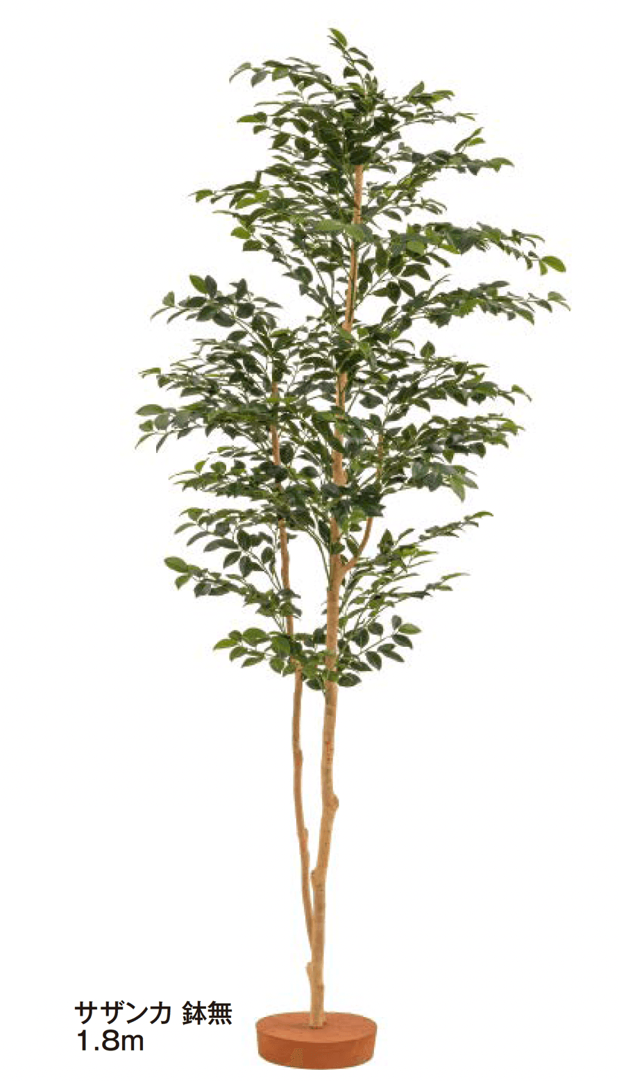 タカショーの「和風観葉植物【2024年版】」のサブ画像4