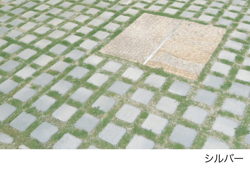 エスビックの「オールラウンドペイブ・グラスハーフ」のサブ画像2