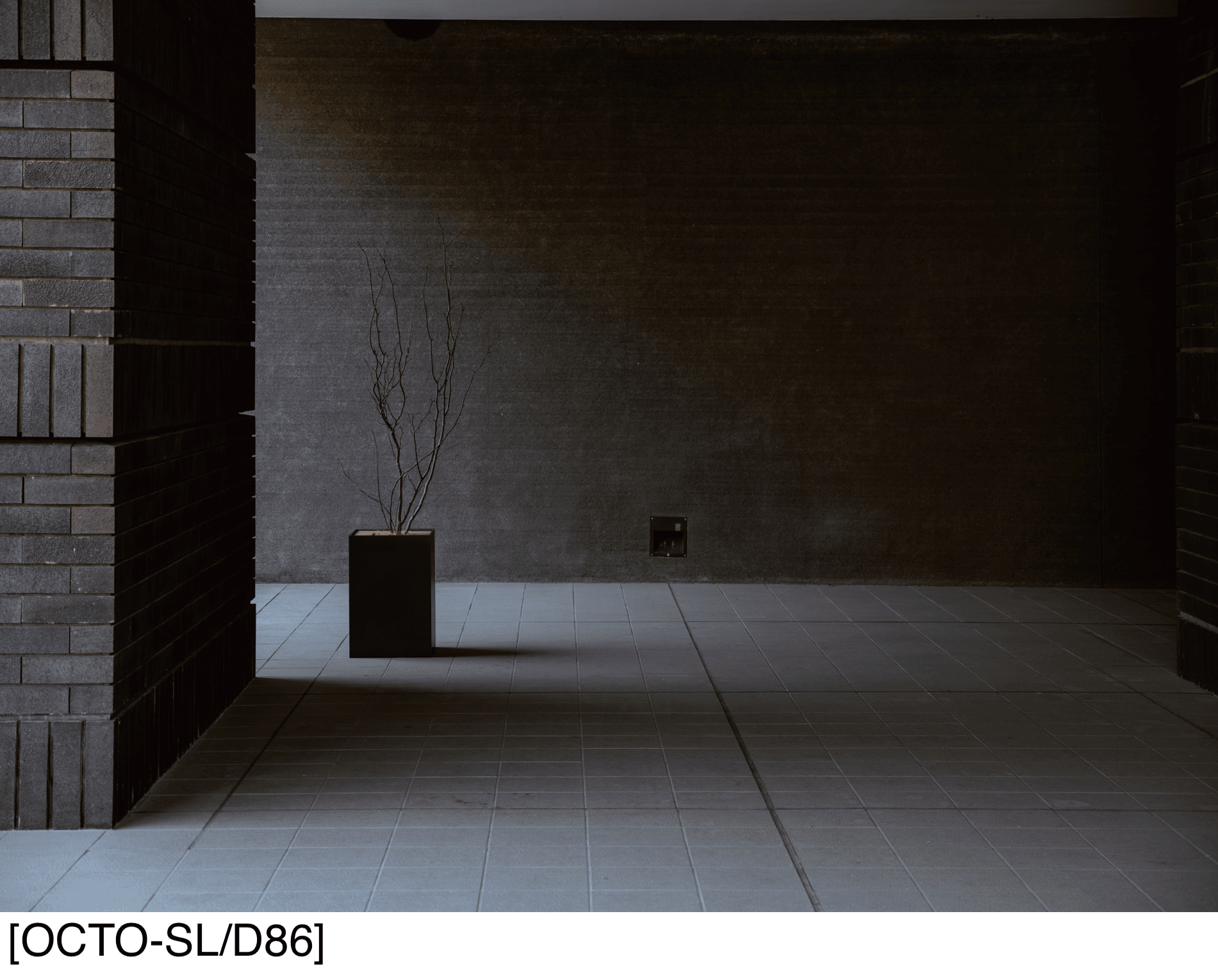 アイコットリョーワの「オクト」