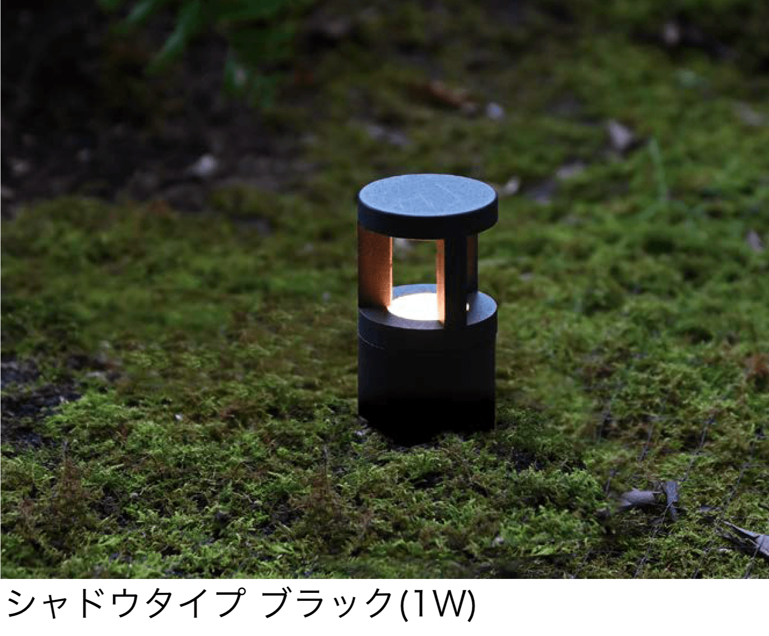 オンリーワンクラブの「プリモ ピコ」のサブ画像3