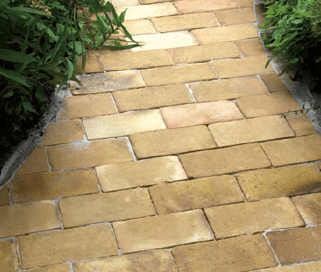 オンリーワンクラブの「ミモザ【2023年版】」のサブ画像1