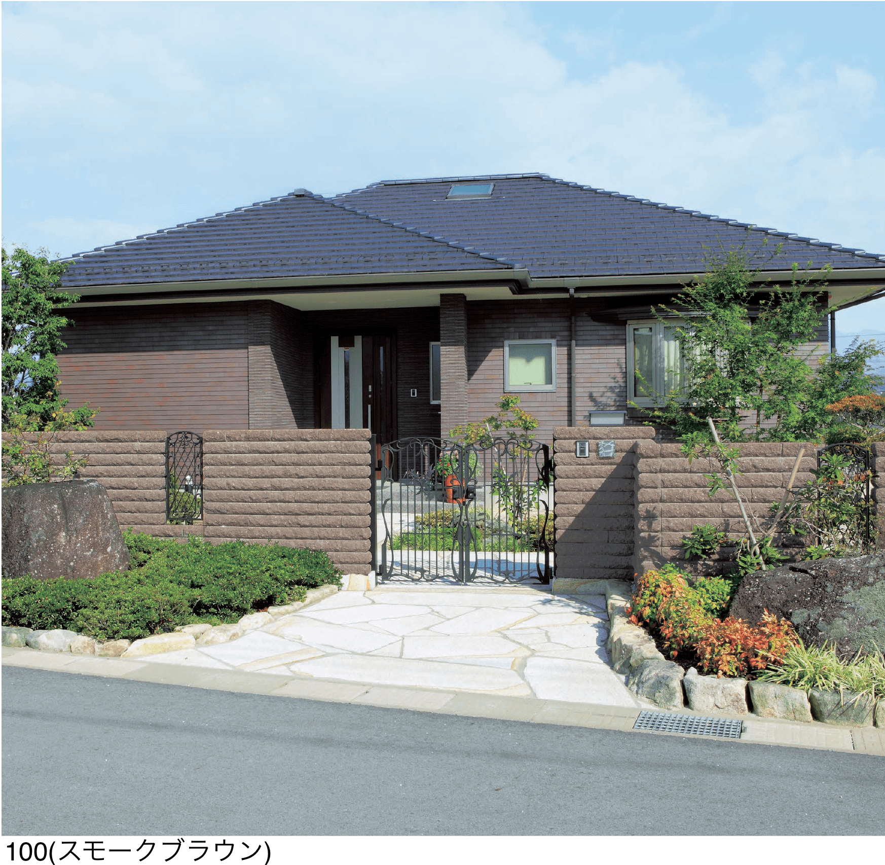 エスビックの「ピッチフェイス100/200」