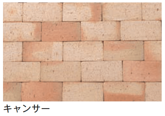 メイクランドの「べイブ」のサブ画像7