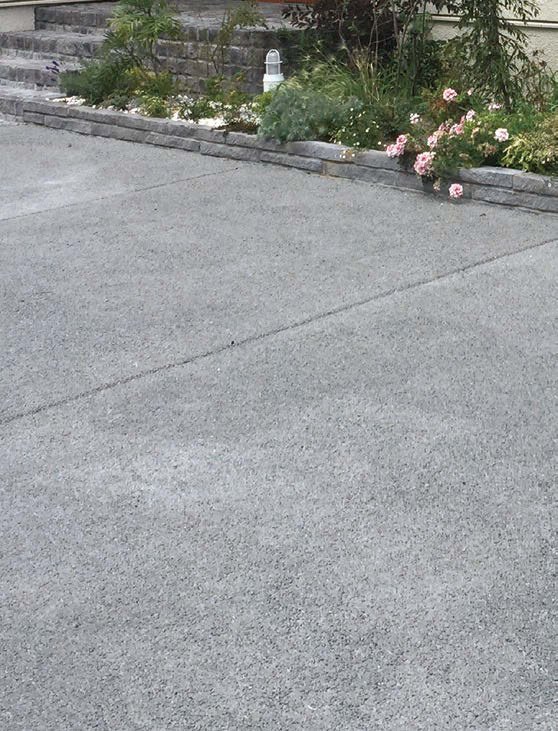 オンリーワンクラブの「ポーラスウェイE」のサブ画像1