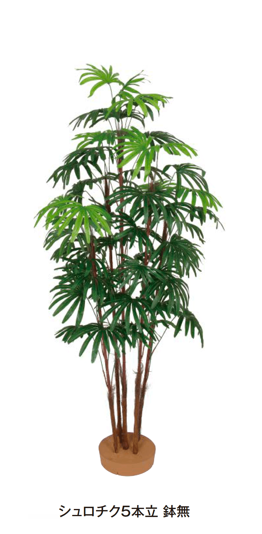 タカショーの「シュロチク【2024年版】」のサブ画像1