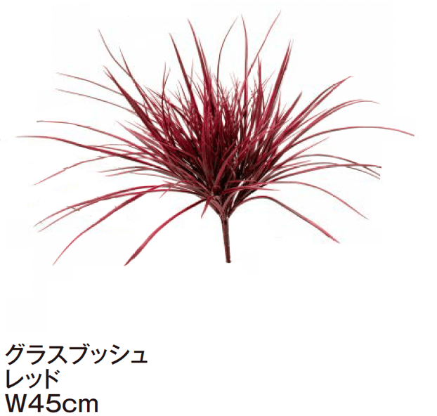 タカショーの「グランドカバー 下草【2024年版】」のサブ画像9