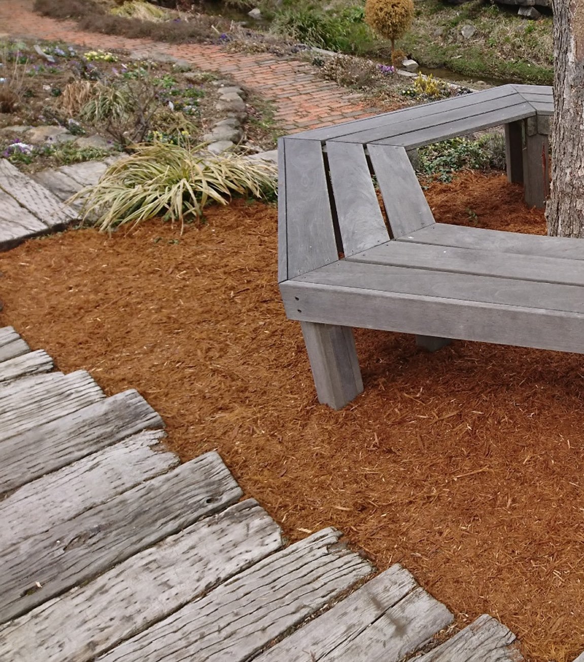 ゆとりの「シダーマルチング【2024年版】」