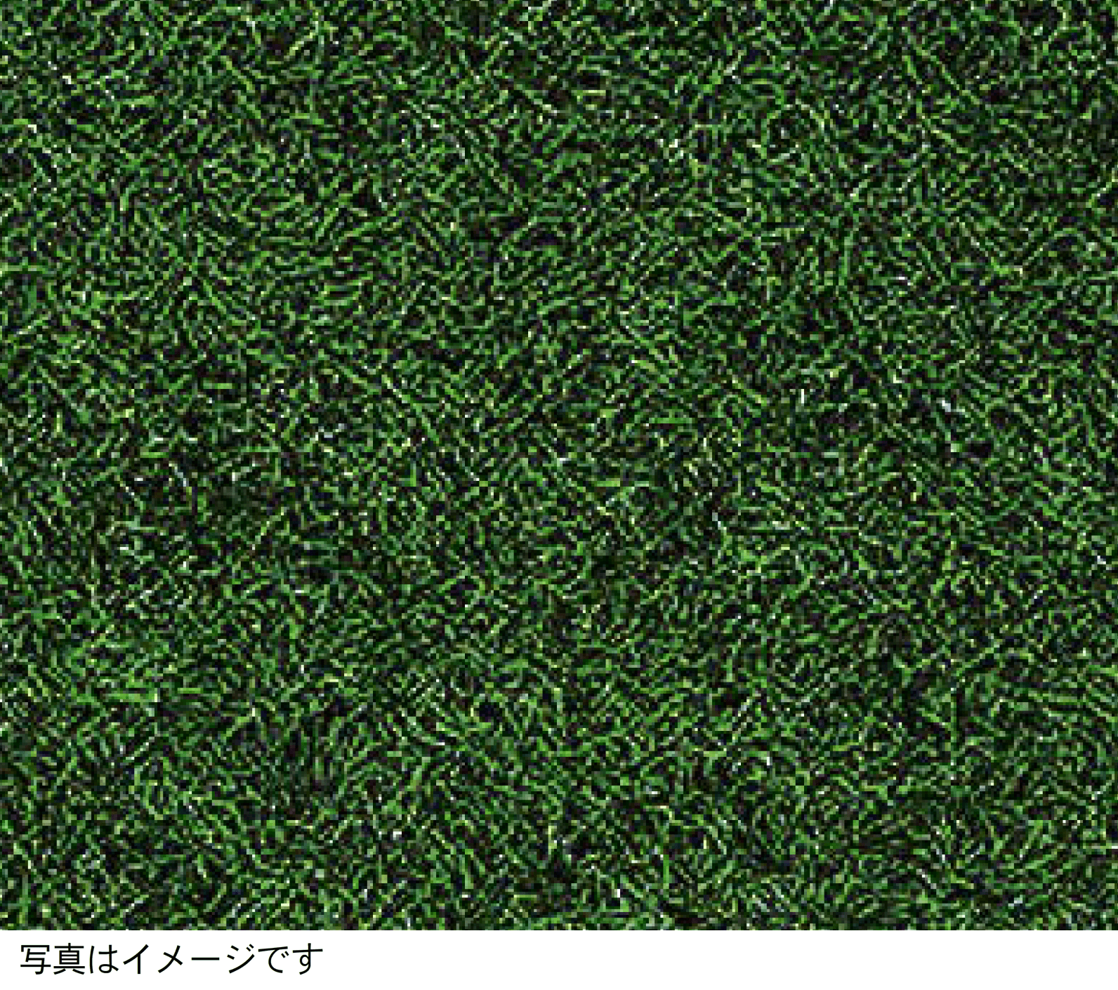 Bullsの「防草人工芝」