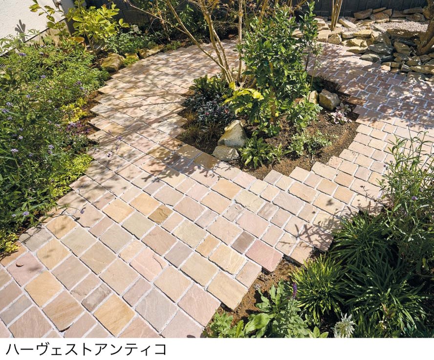 オンリーワンクラブの「アンティコシリーズ【2024年版】」