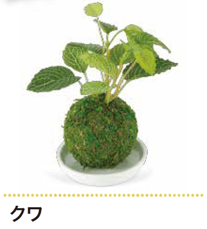 ゆとりの「消臭アーティフィシャルグリーン WA BONSAI【2023年版】」のサブ画像3