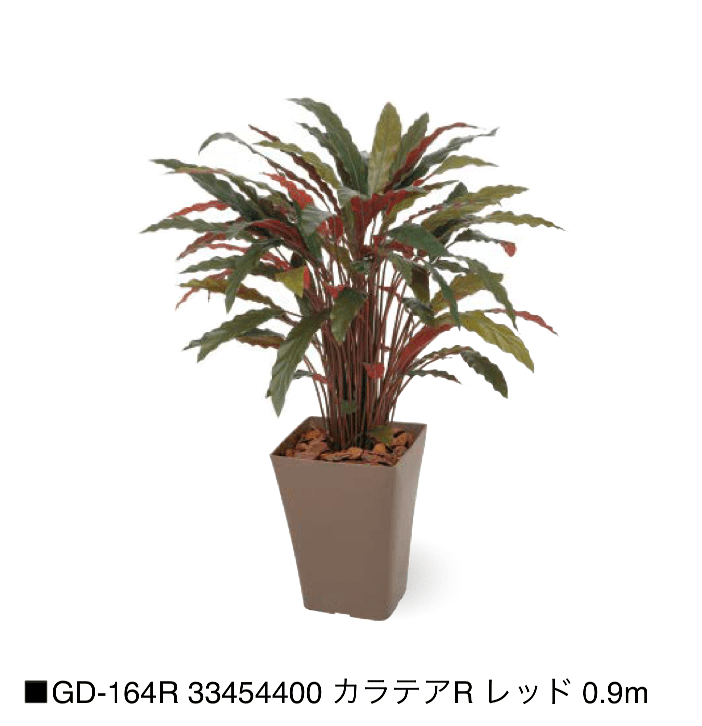 タカショーの「観葉植物【2025年版】」のサブ画像27