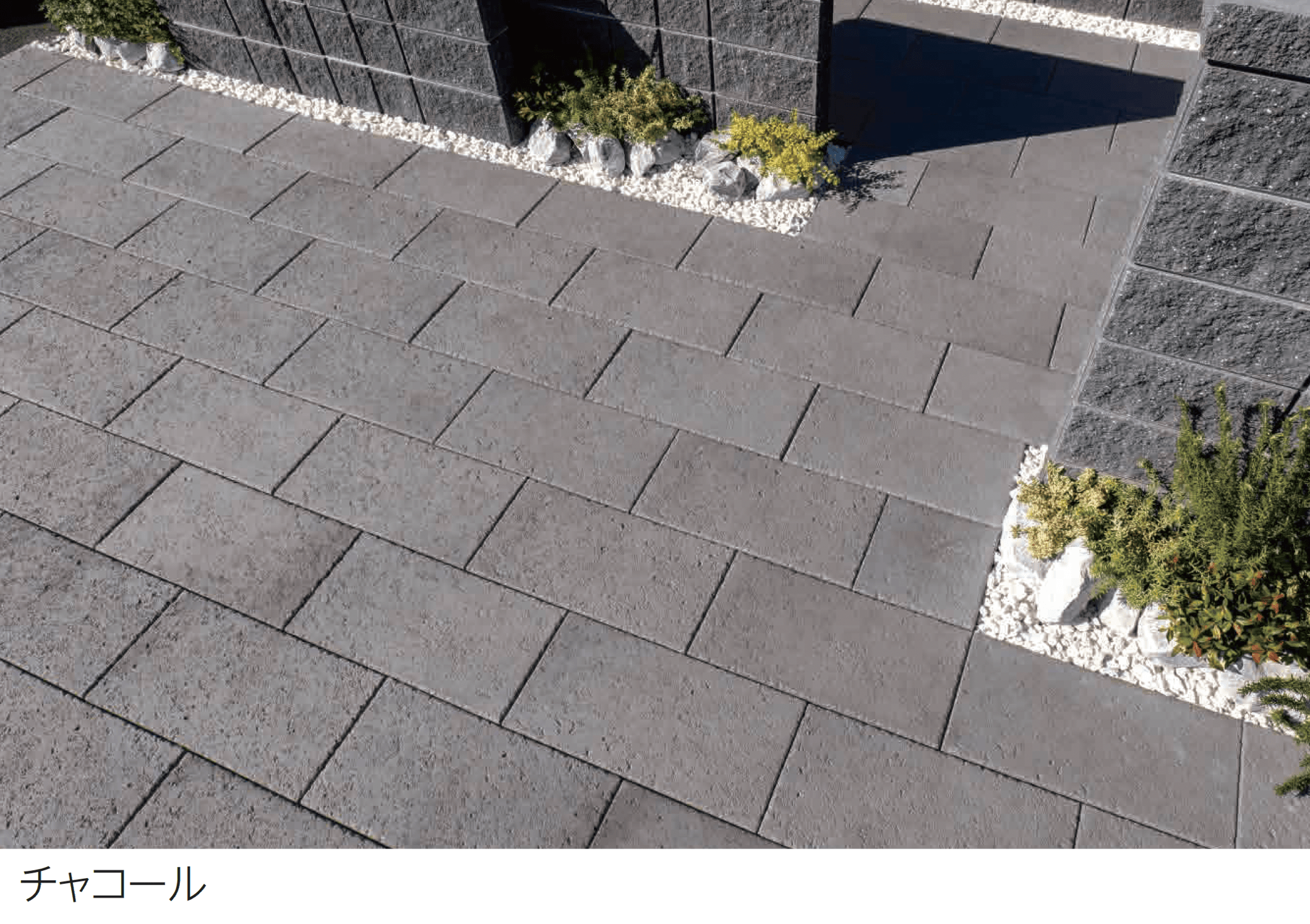 エスビックの「アクシア・ボルケ」