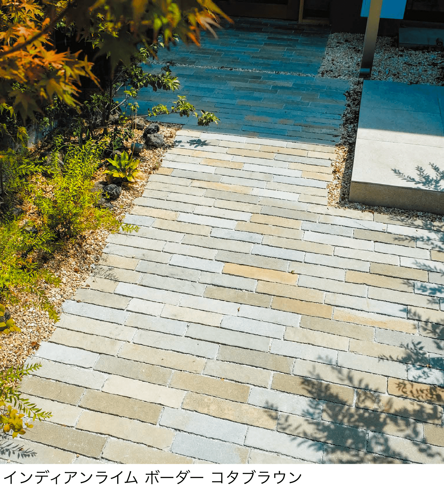 エクシスランドの「インディアンライムボーダー タンブルエッジ」