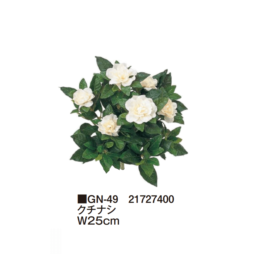 タカショーの「グランドカバー 下草【2025年版】」のサブ画像6