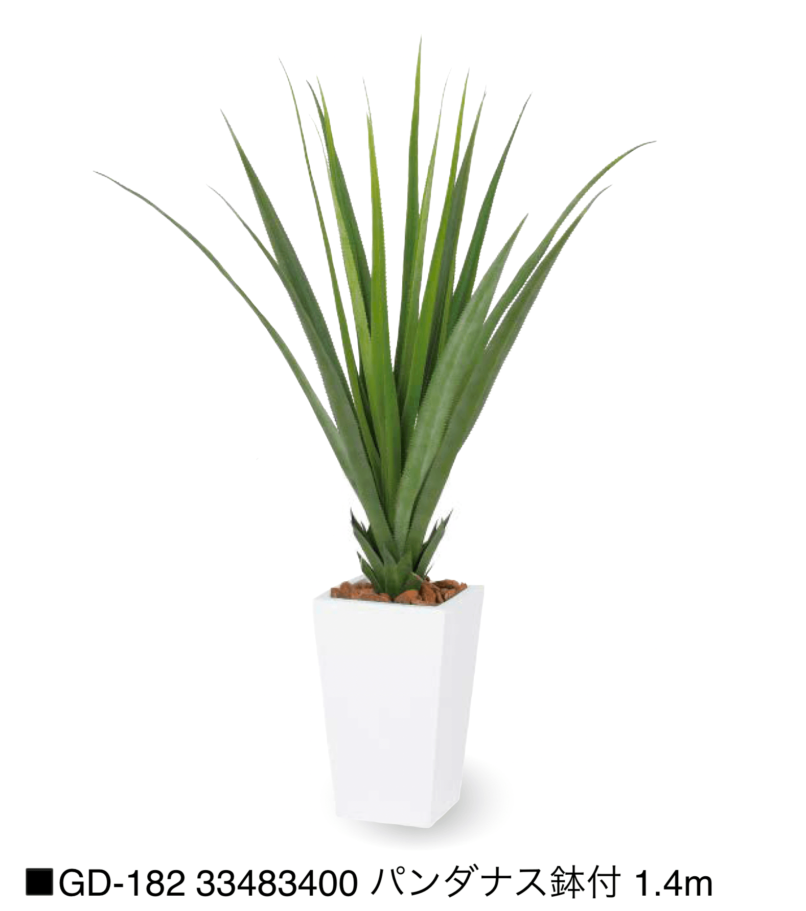 タカショーの「観葉植物【2025年版】」のサブ画像14