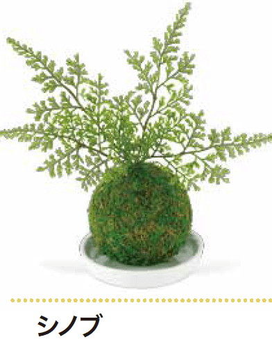 ゆとりの「消臭アーティフィシャルグリーン WA BONSAI【2023年版】」のサブ画像1