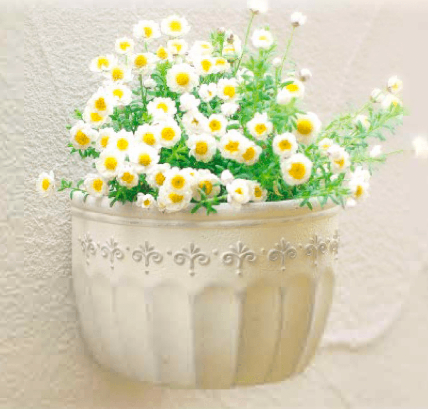 ディーズガーデンの「プランターホルダー タイプA【2024年版】」