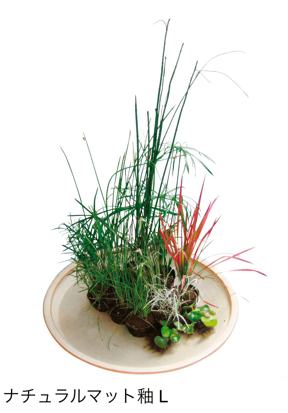 オンリーワンクラブの「大型水鉢」のサブ画像1