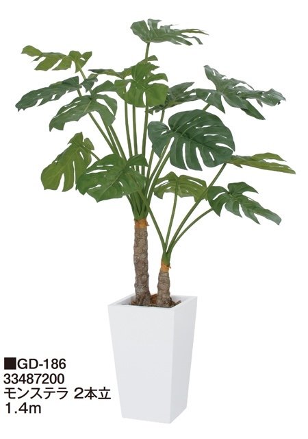 タカショーの「観葉植物【2024年版】」のサブ画像9