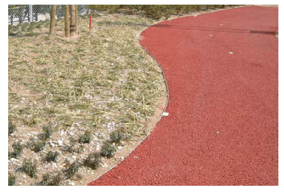 ゆとりの「アクシアペイブエッジ 【2022年版】」のサブ画像2