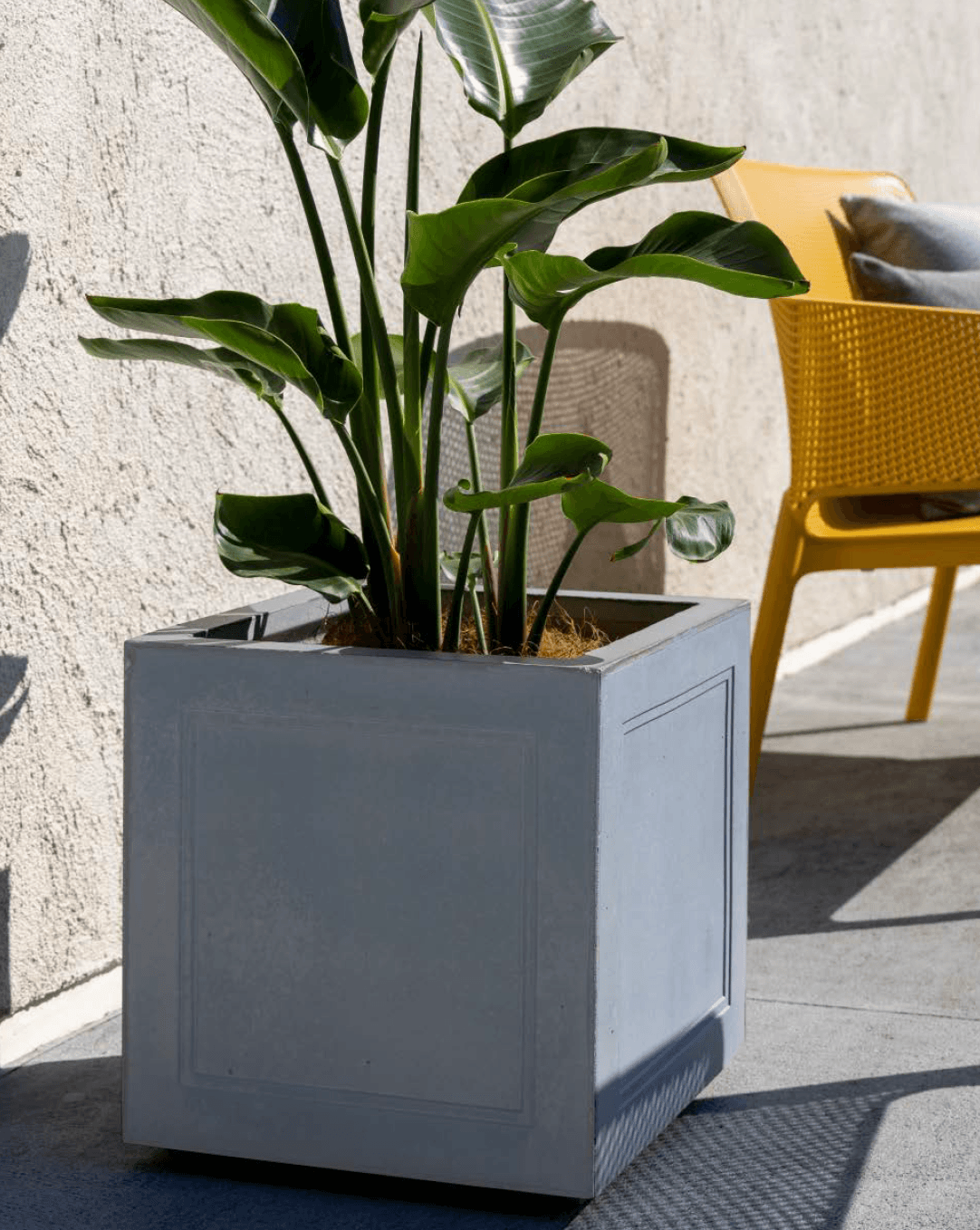 タカショーの「メンコン」