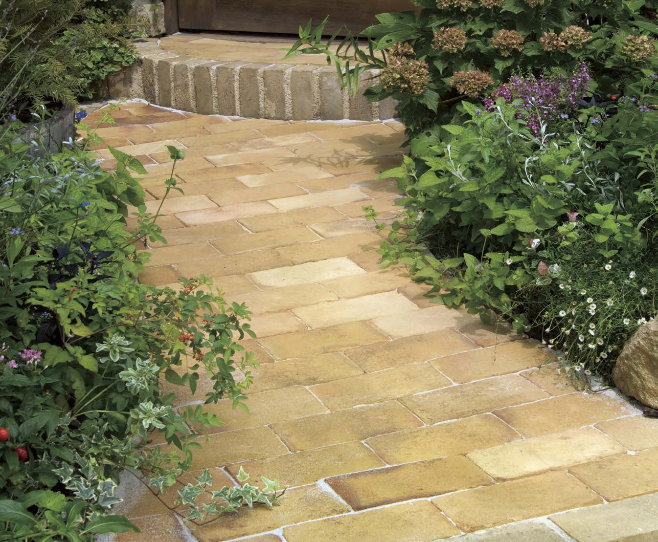 オンリーワンクラブの「ミモザ」