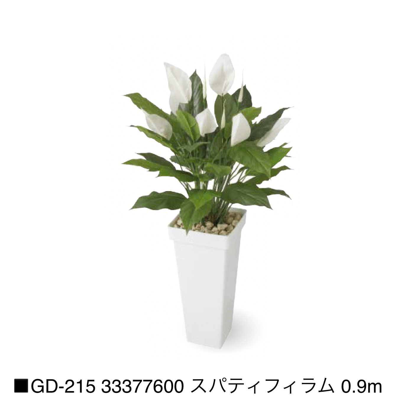 タカショーの「観葉植物【2025年版】」のサブ画像26