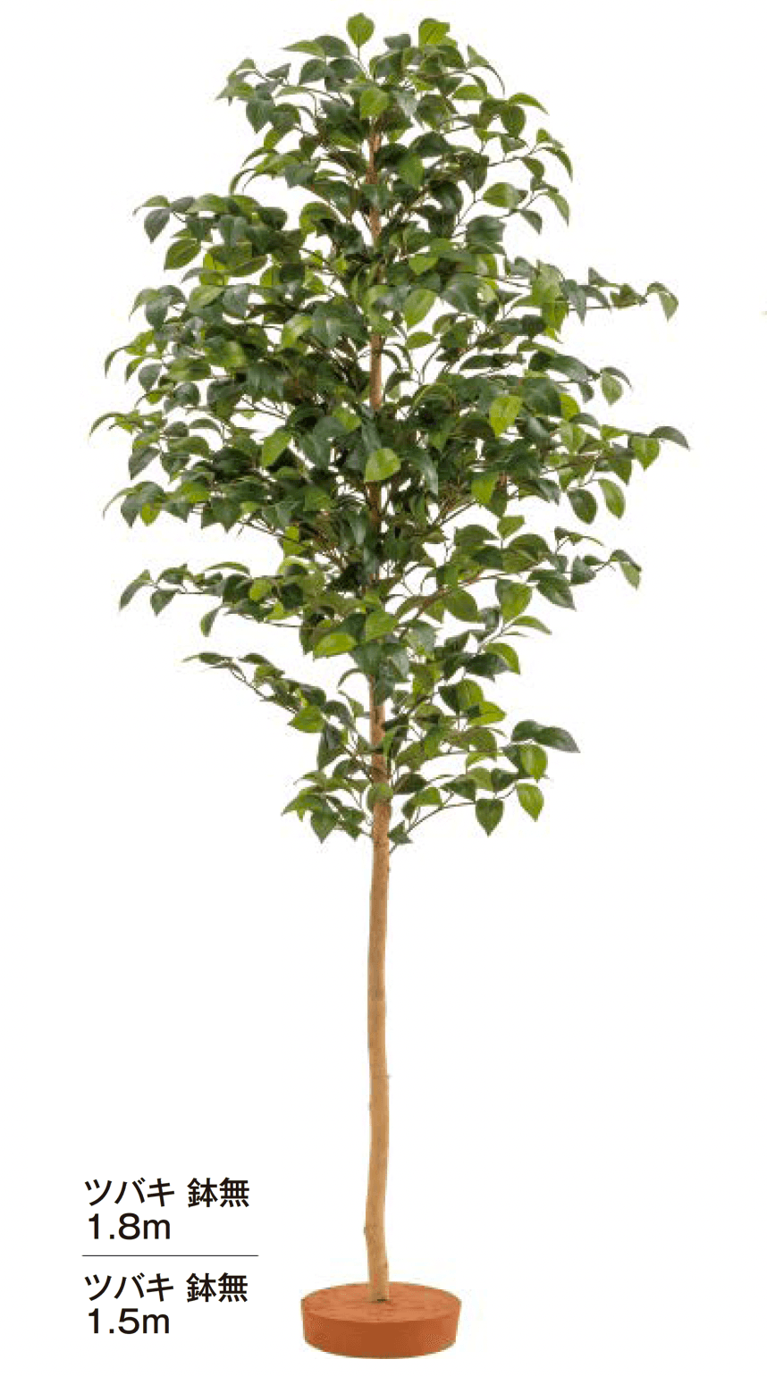 タカショーの「和風観葉植物【2024年版】」のサブ画像1