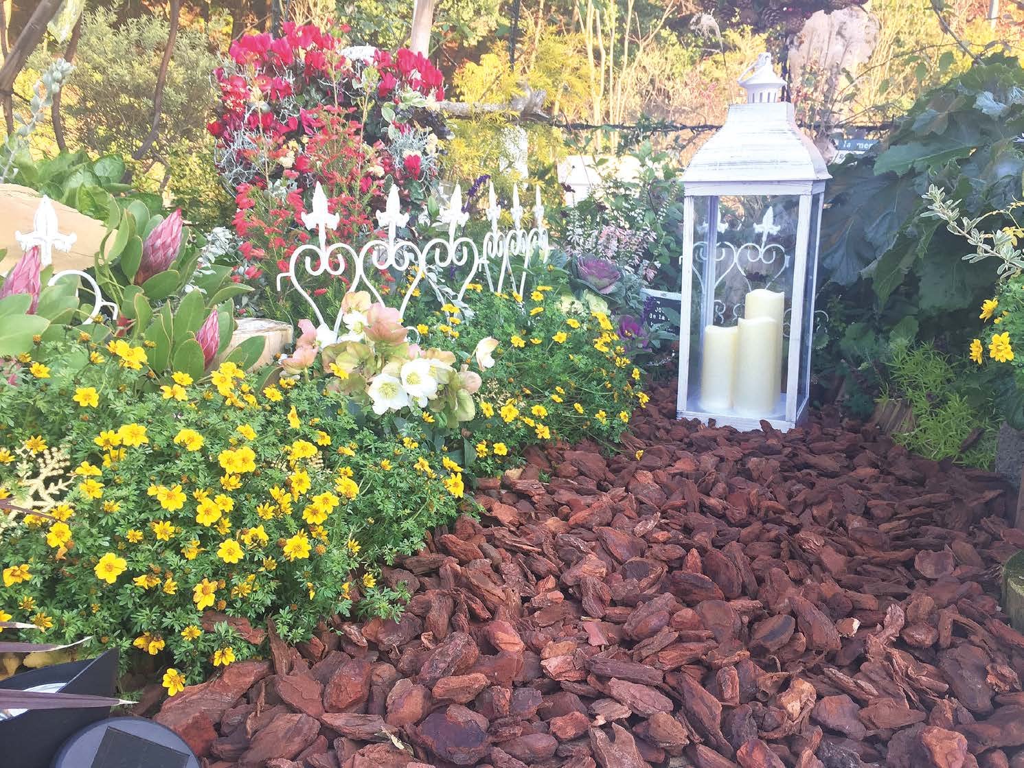 オンリーワンクラブの「バークチップ」