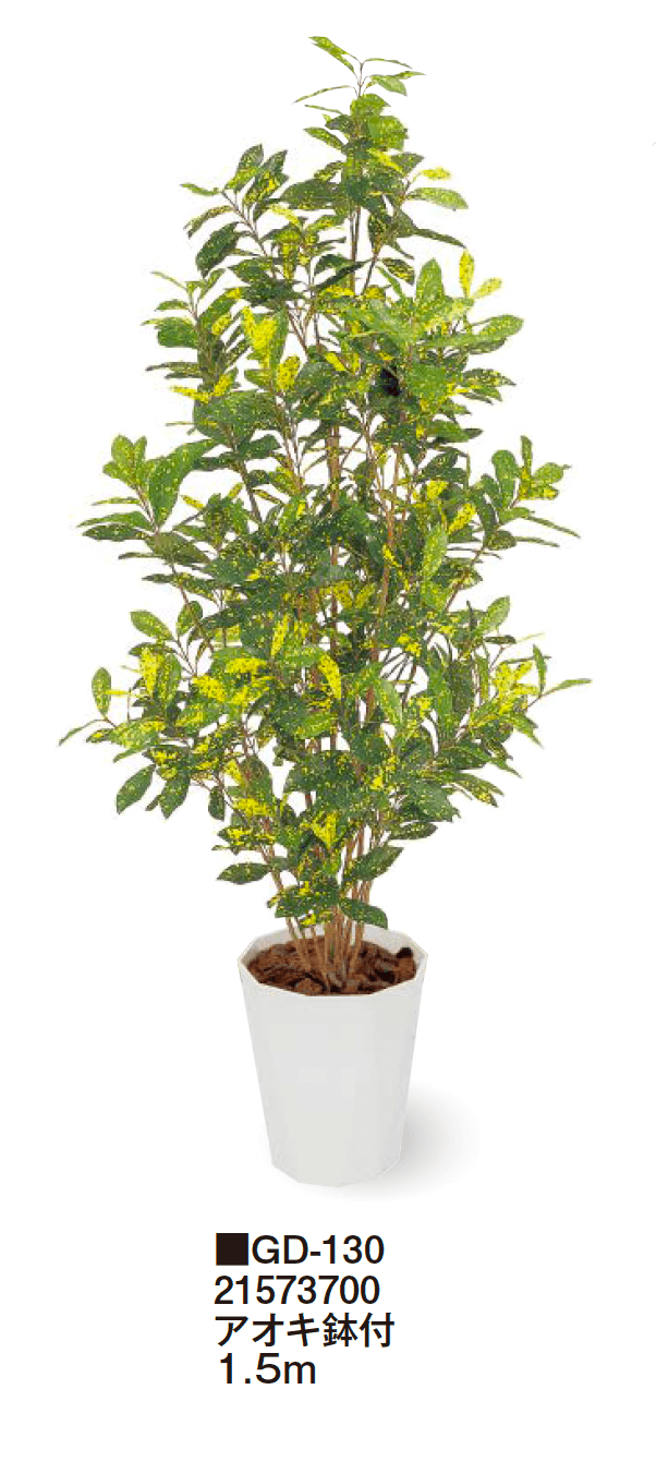 タカショーの「観葉植物【2024年版】」のサブ画像20