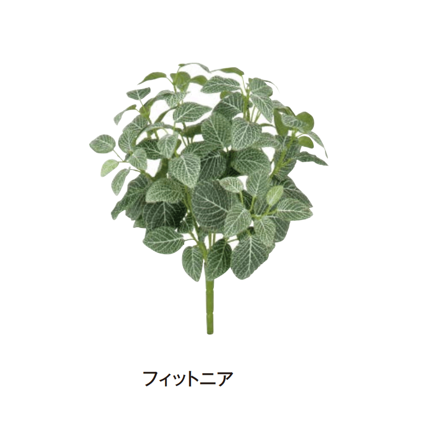 タカショーの「グランドカバー 下草」のサブ画像19