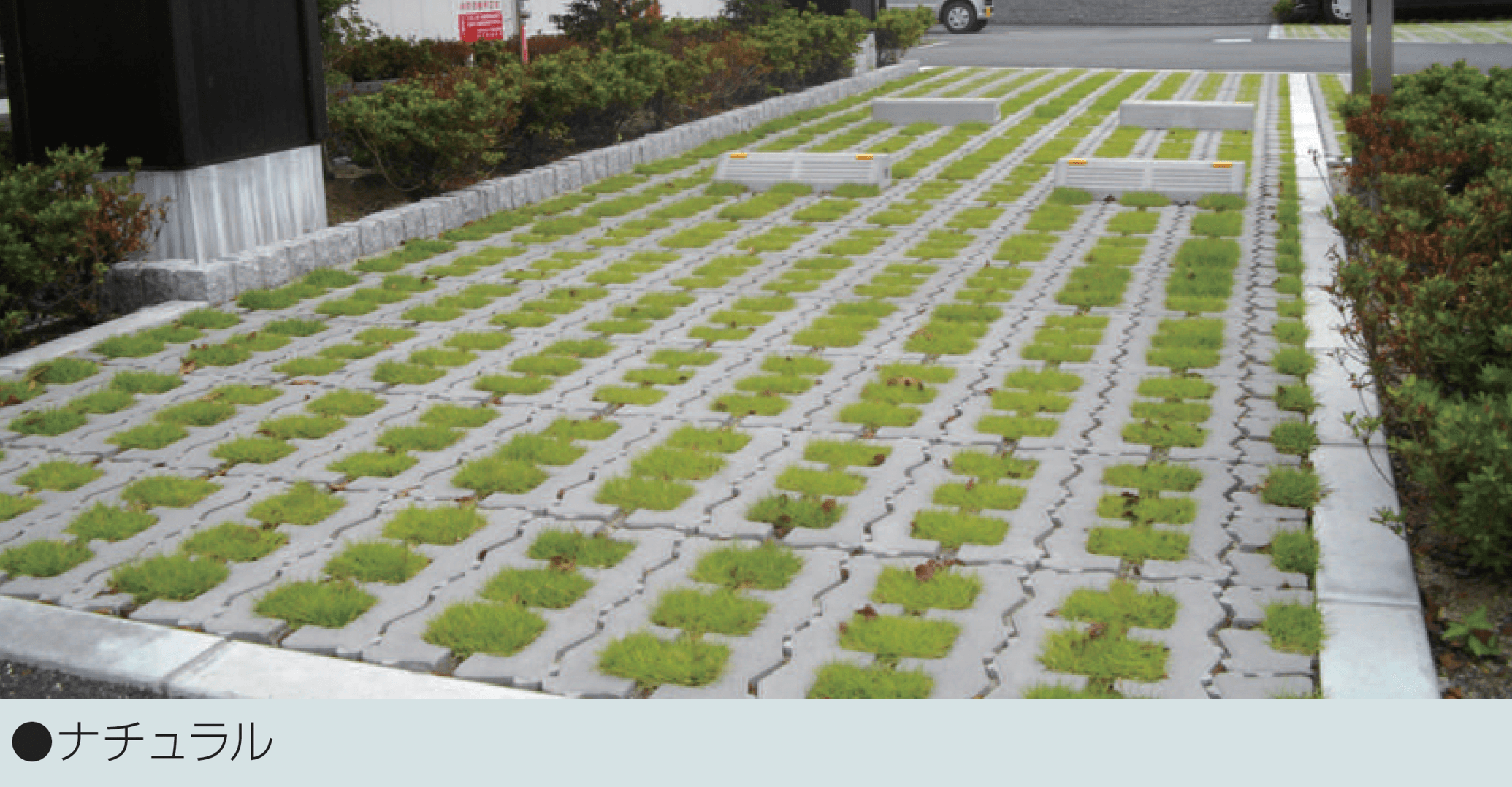 マツオコーポレーションの「グラスストーン」