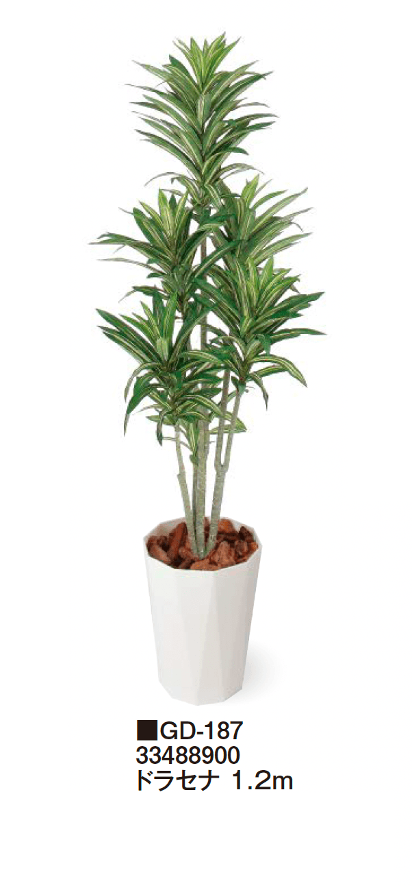 タカショーの「観葉植物【2024年版】」のサブ画像15