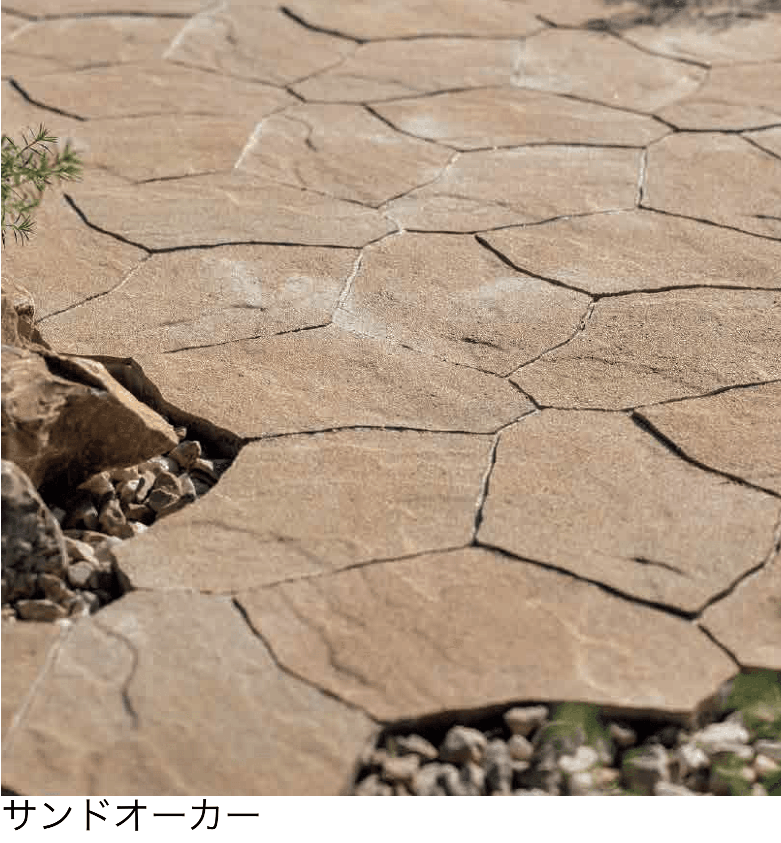 エスビックの「ランカ【2026年5月21日発売予定】」のサブ画像2