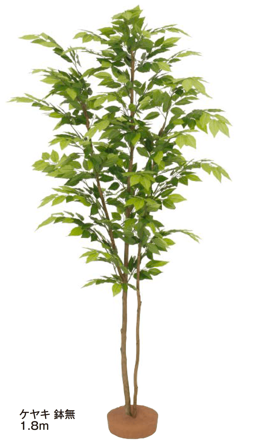 タカショーの「和風観葉植物【2024年版】」のサブ画像2