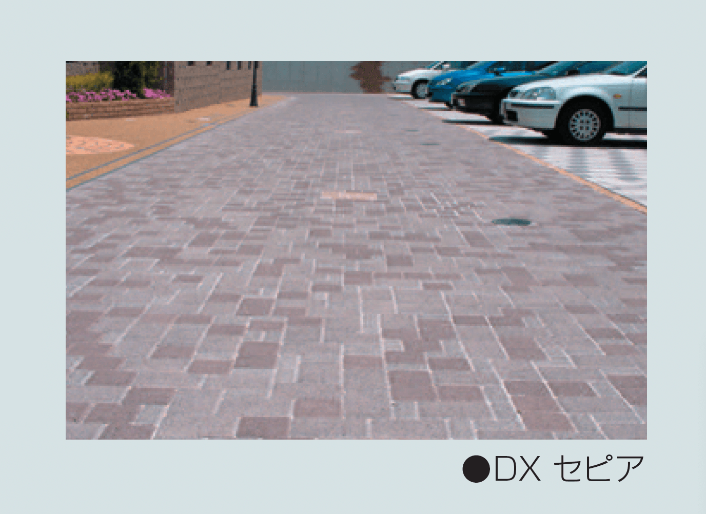 マツオコーポレーションの「コブレックス」のサブ画像3