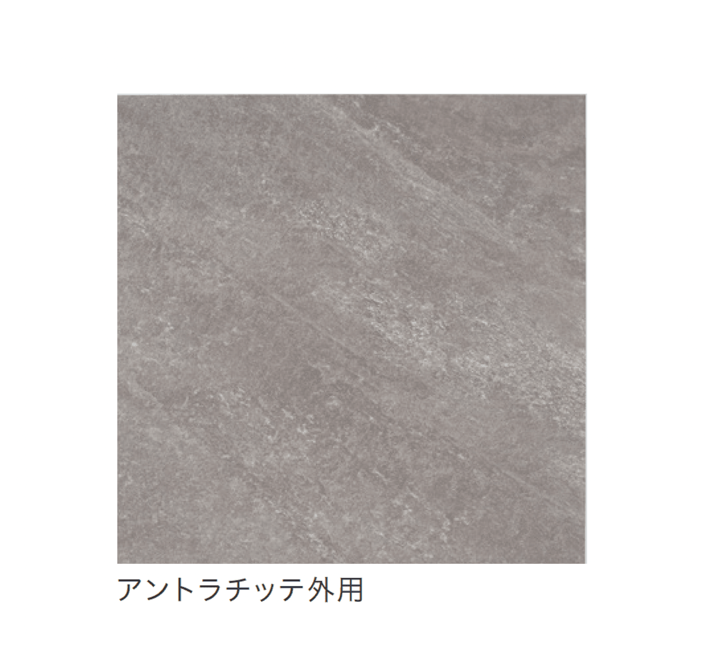 リビエラの「ペトラ」のサブ画像15