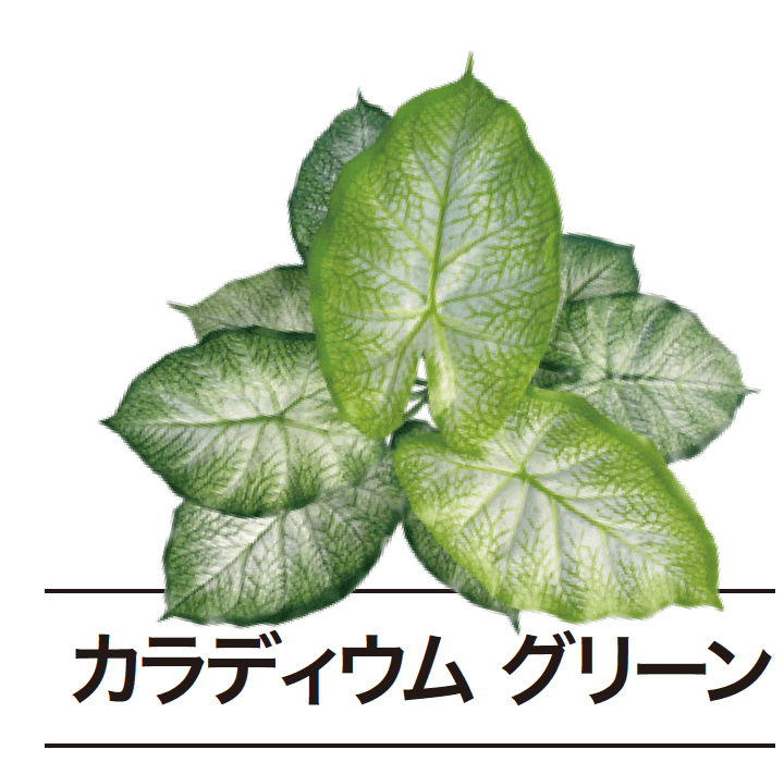 ゆとりの「ぴたっとグリーン【2024年版】」のサブ画像16