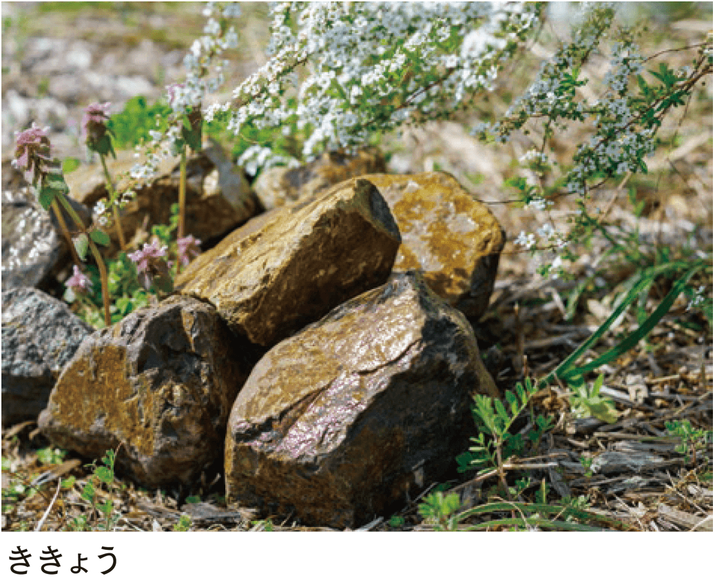 マチダコーポレーションの「和美ロック【NEW】」のサブ画像1