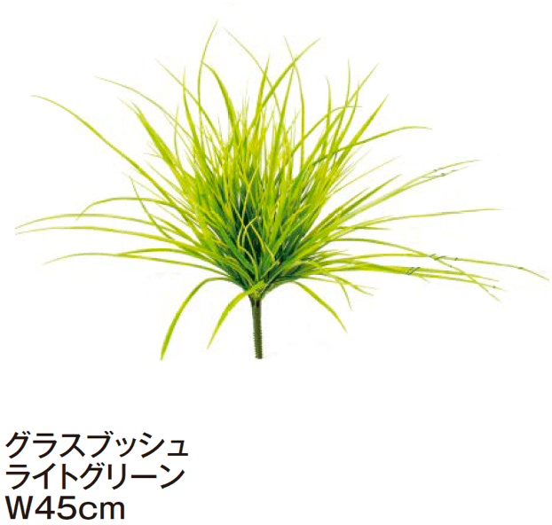 タカショーの「グランドカバー 下草【2024年版】」のサブ画像7