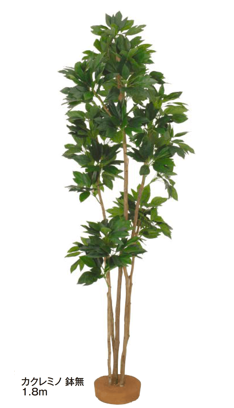 タカショーの「和風観葉植物【2024年版】」のサブ画像5