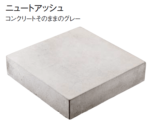 東洋工業の「ニュートステップ」のサブ画像3