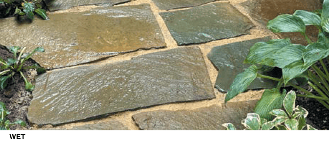 オンリーワンクラブの「アルデンヌ【2023年版】」のサブ画像2