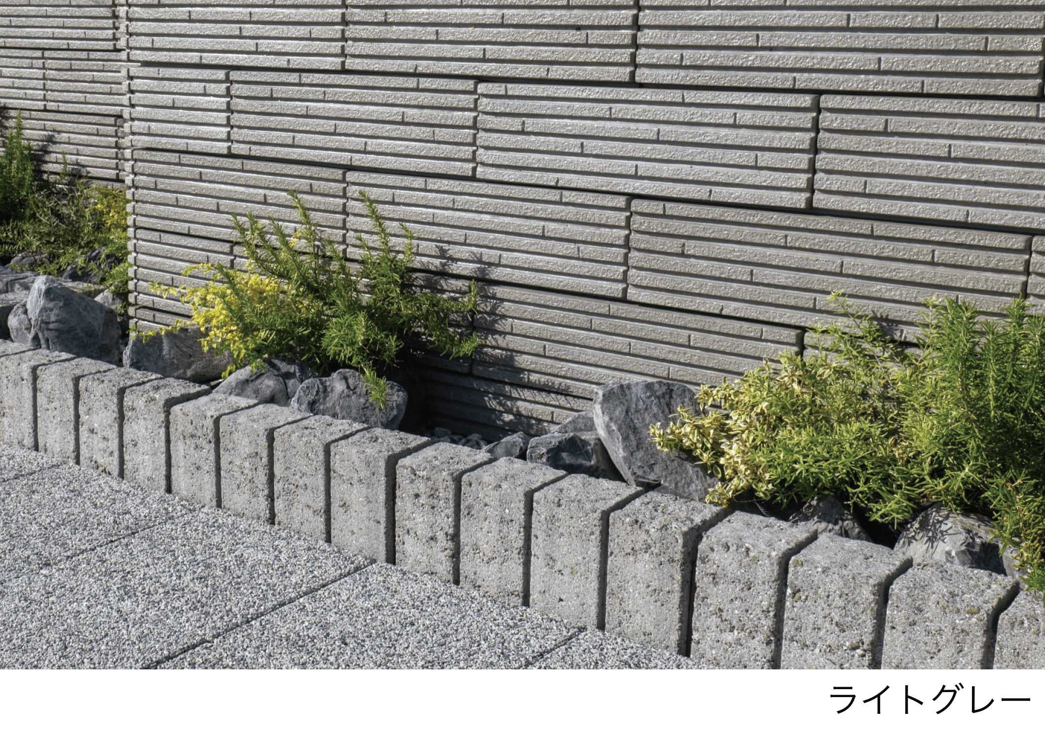 エスビックの「コロエッジ【2025年版】」