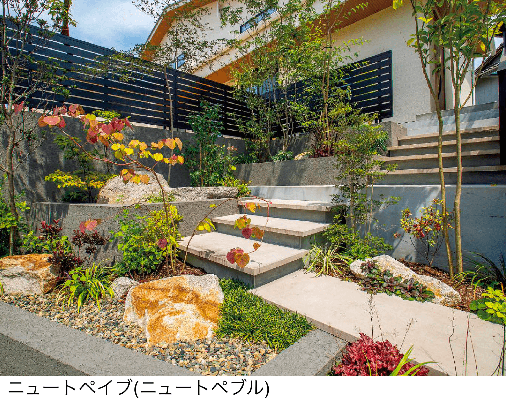 東洋工業の「ニュートぺイブ」のサブ画像1